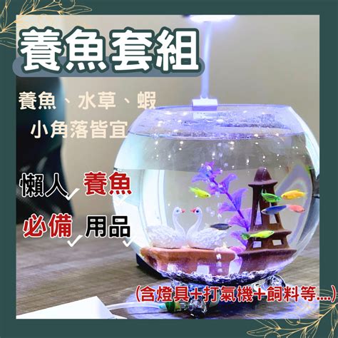 房間養魚好嗎|居家養魚：影響健康15注意事項 – 寵物百科